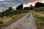 Tour del Chianti