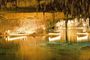 Caves of Drach