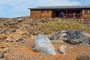 Fuerteventura Misteriosa Ilha de Lobos