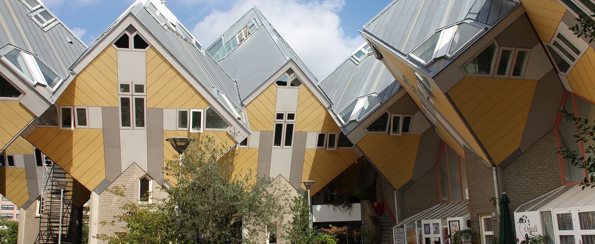 Tour de Kinderdijk e os Moinhos Delfshaven, Rotterdam e Delft