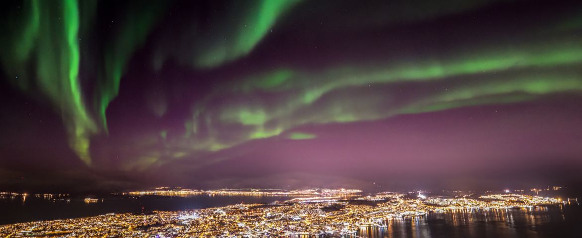 Tromsø City Tour e Centro Polaria