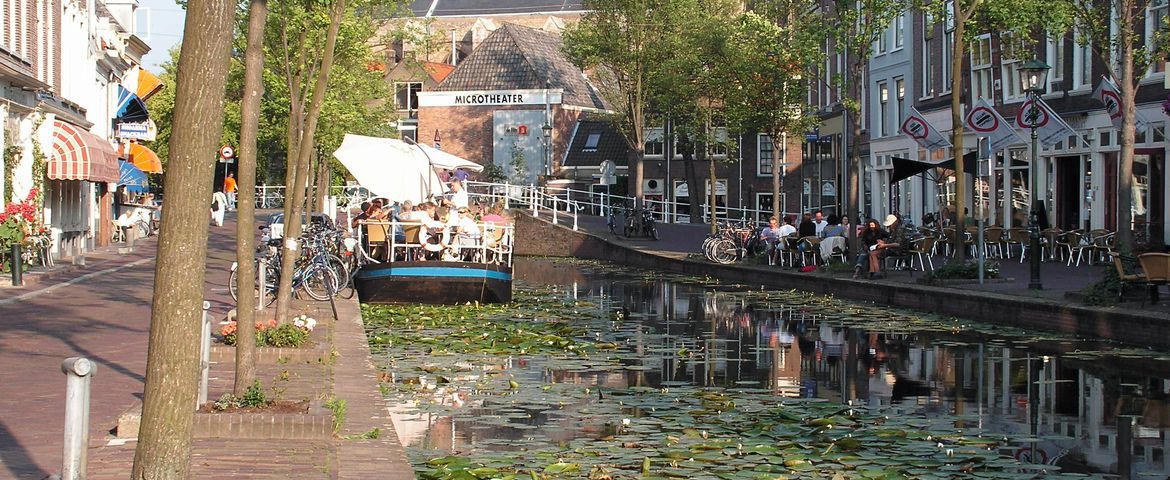 Tour de Kinderdijk e os Moinhos Delfshaven, Rotterdam e Delft