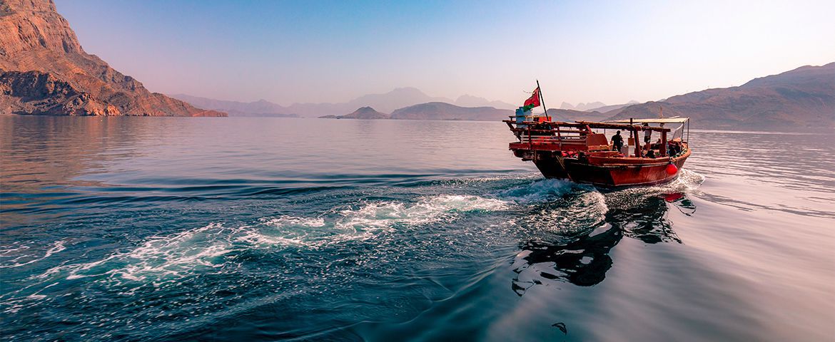 Cruzeiro Dhow e observação de golfinhos no fiorde Khor Sham