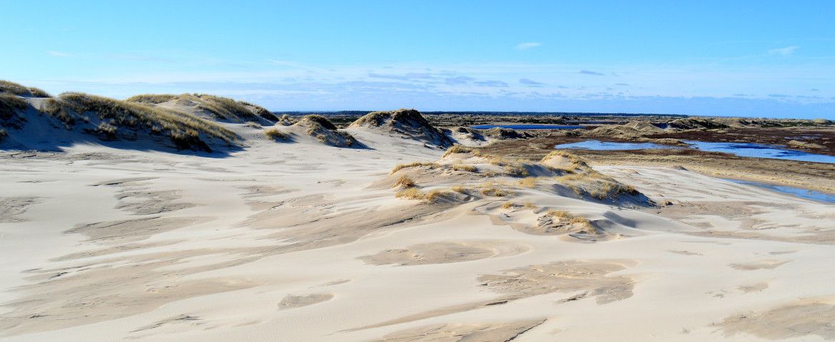 Panorâmica pela cidade de Skagen