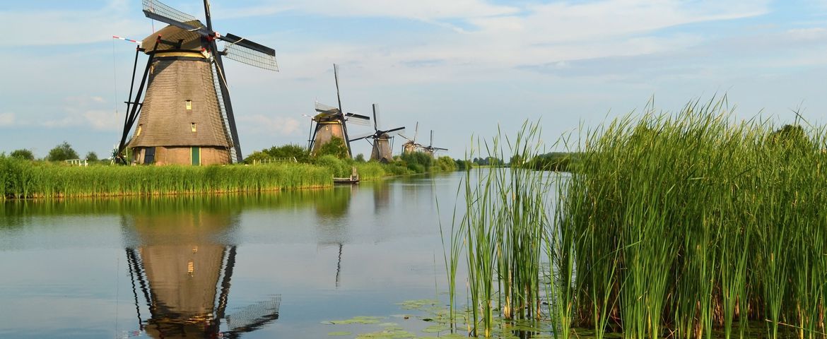 Tour de Kinderdijk e os Moinhos Delfshaven, Rotterdam e Delft