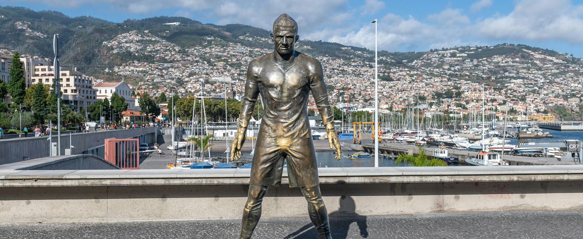 A Essência da Madeira