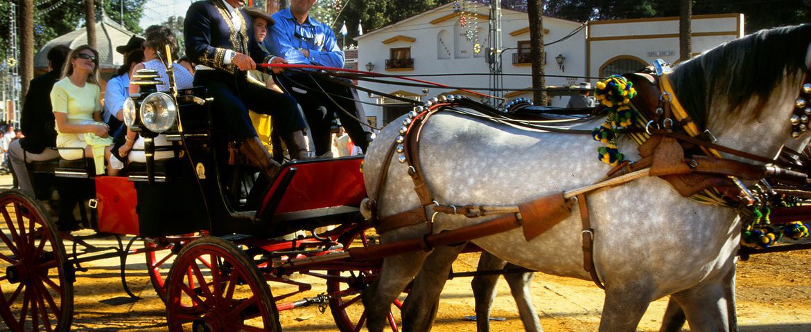 Visita a Jerez e Panorâmica de Cádiz