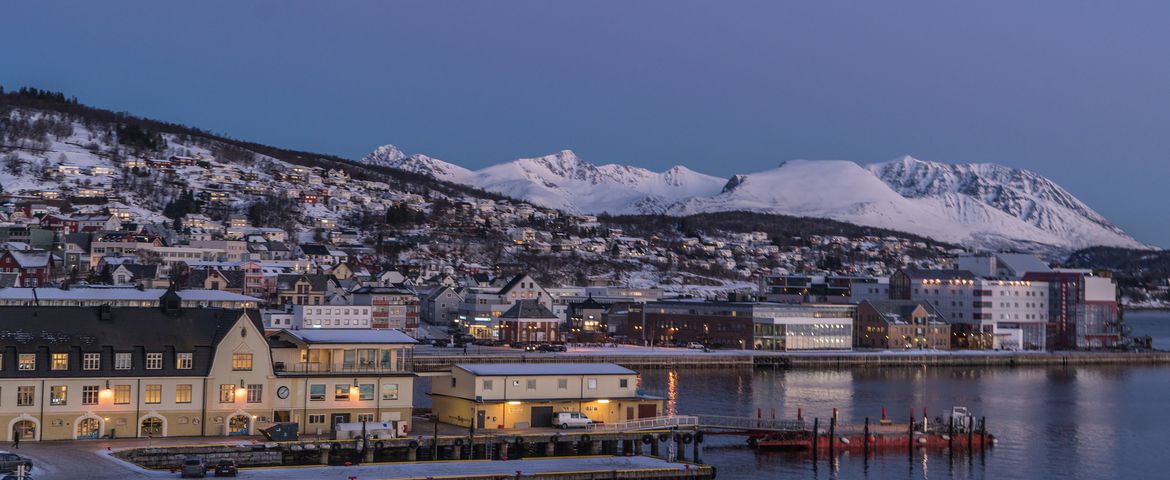 Tromsø City Tour e Centro Polaria