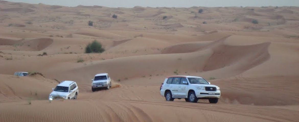 Safari pelo Deserto em 4X4