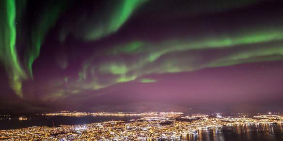 Tromsø City Tour e Centro Polaria